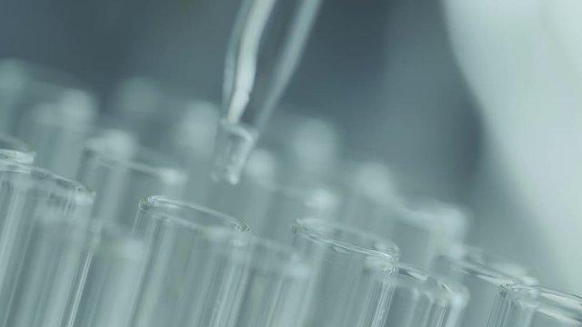 Close up of laboratory scientist working with a pipette analyzes and extract the DNA or molecules in the test tubes.on blue background with virtual interface
