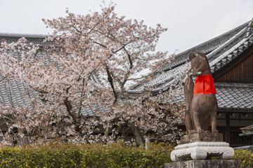 Statue of the fox-like deity Inari near the main hall of the Shinto shrine of Fushimi Inari-taisha in Kyoto, Japan.