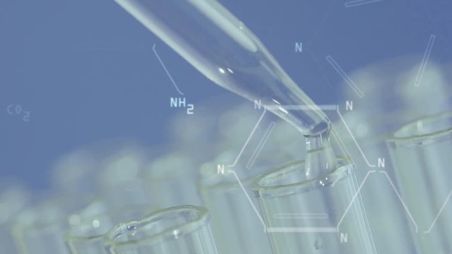 Close up of laboratory scientist working with a pipette analyzes and extract the DNA or molecules in the test tubes.on blue background with virtual interface
