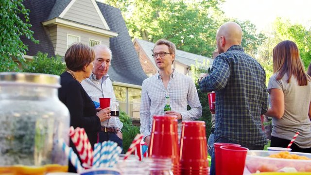 Middle aged and senior neighbours talking at a block party