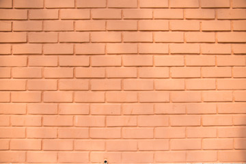 Obraz premium red brick wall background