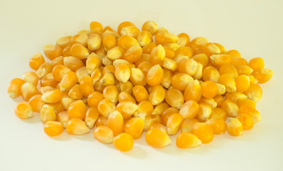 corn yellow corn for popcorn