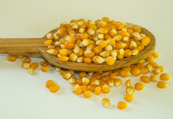 corn yellow corn for popcorn in wooden bowl on white background.