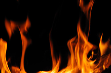 burning fire flame on the black background