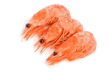 Red cooked prawn or shrimp isolated on white background