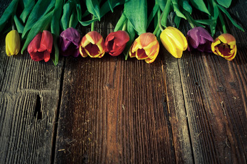 Easter eggs and fresh spring tulips on weathered wooden background