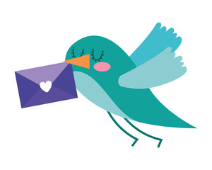 sweet bird with envelope message in beak cartoon
