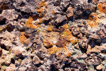 Colorful lichens on corroded rock in the desert badlands of Bisti/De Na Zin in Northern New Mexico