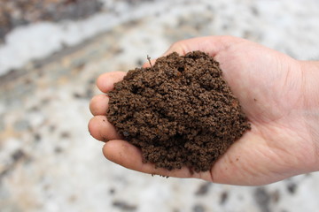 man holding soil