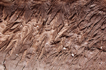 interesting cracked earth texture in the desert wastes of northern New Mexico