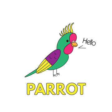 Cartoon Parrot Flashcard for Children