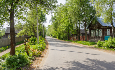 Fototapeta premium Rural street in green in the spring