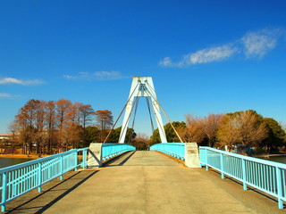 橋のある水元公園風景