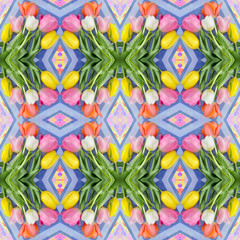 Tulip flowers background. Seamless pattern of tulip flowers.