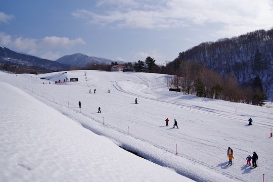 スキー場でスキーの練習をする人たち