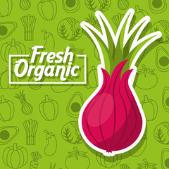 vegetables fresh food