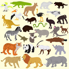 Collection of different animals on a light background