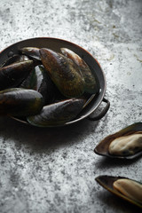 Raw kiwi mussels in copper bowl on metallic background