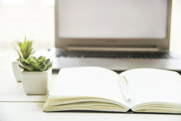 Two small pots with succulents at the computer on the desktop. Next to a white open notepad. A minimalistic stylish workplace in the sunlight
