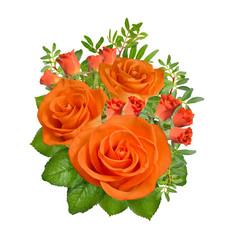 Composition of orange roses flowers. Isolated on white background