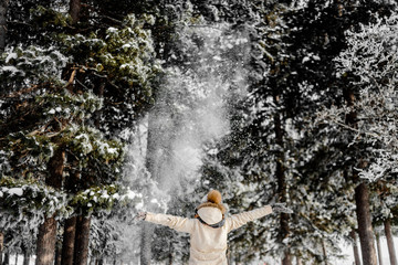 Fototapeta premium Winter forest