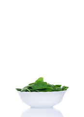 Green fresh spinach in plate
