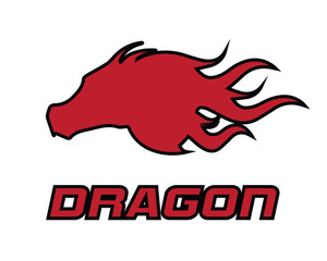 dragon head flame logo illustration , logo design illustration , designed for brand and identity