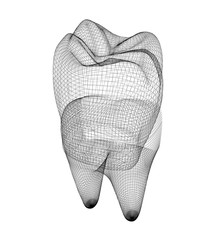 Mesh model of tooth. 3d illustration - obrazy, fototapety, plakaty