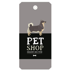 Poster Pet Shop Design label Swedish Vallhund Geometric style