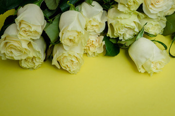 roses on a yellow background