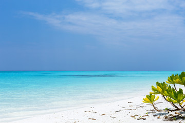 Maldivian island with beautiful nature