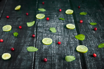 Mojito Cocktail ingredients: cranberries, mint, lime