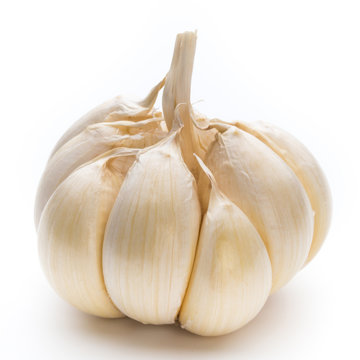 Garlic isolated on the white background.