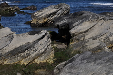 潮溜まり　磯　海岸　石畳　岩場　海　水平線　日本　千葉