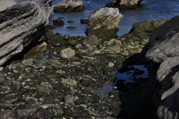 潮溜まり　磯　海岸　石畳　岩場　海　水平線　日本　千葉