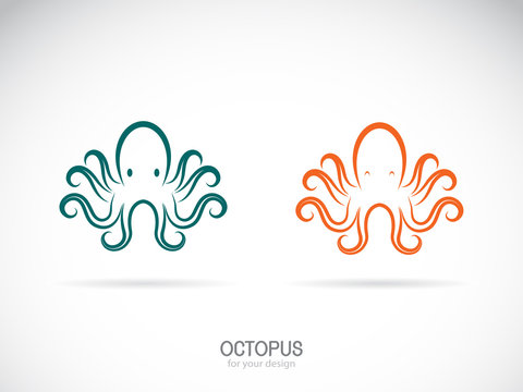 Vector of an octopus design on a white background. Aquatic animals. Easy editable layered vector illustration.