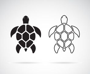 Vector of turtle design on a white background. Reptile. Animals. Easy editable layered vector illustration.