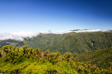 Fototapeta na wymiar Green hills, Madeira island nature, Portugal