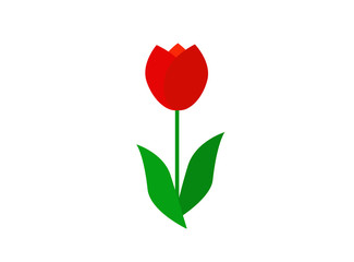 
flat icon on white background tulip blooms 