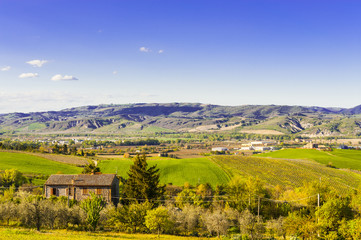 Fototapeta na wymiar Agriculture in Italian village