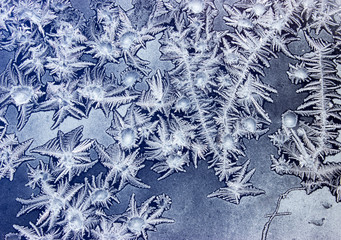 Ornaments on a frozen window like marine plants