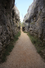 Fototapeta na wymiar Stones in Ciudad Encantada forest in Spain, Europe