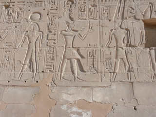 Fototapeta premium hieroglyphic symbols in abu simbel
