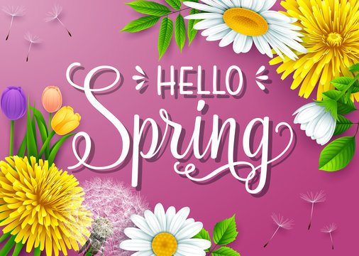 Hello Spring background with different flowers on purple background