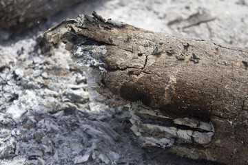 Closeup burned Firewood