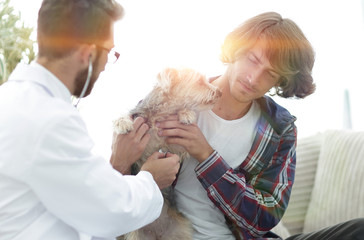 Loving owner with a Yorkshire terrier in the office of a veterin