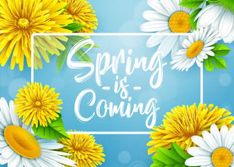 Fototapeta premium Spring is coming with rectangle frame, and flower on blue background