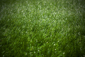 artificial green grass blur