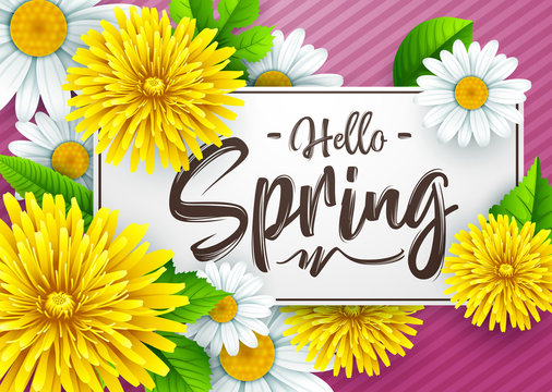 Hello Spring background with flowers and frame rectangle paper on striped background