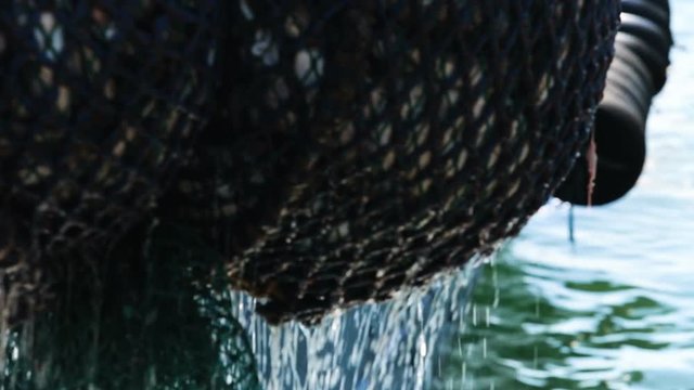 Raising the fishing net from the water on a fishing boat
